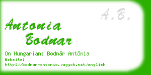 antonia bodnar business card